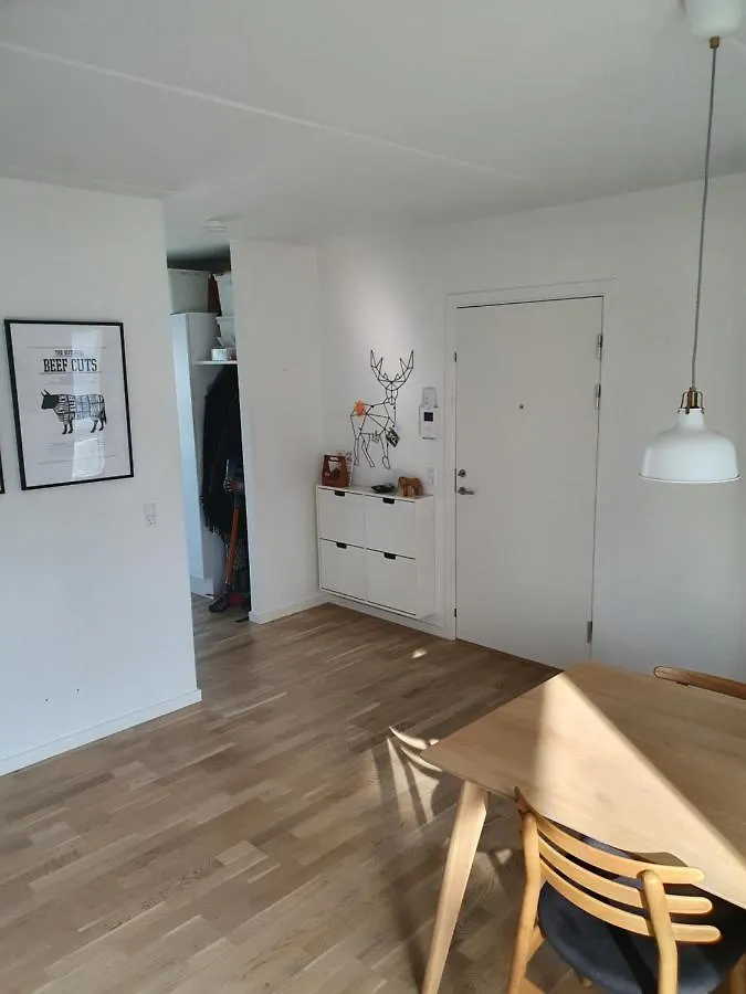 New Apartment In Copenhagen, Valby
